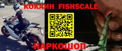 стаф Будённовск
