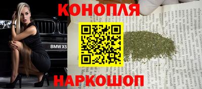 стаф Будённовск
