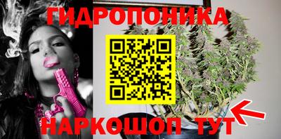 стаф Будённовск