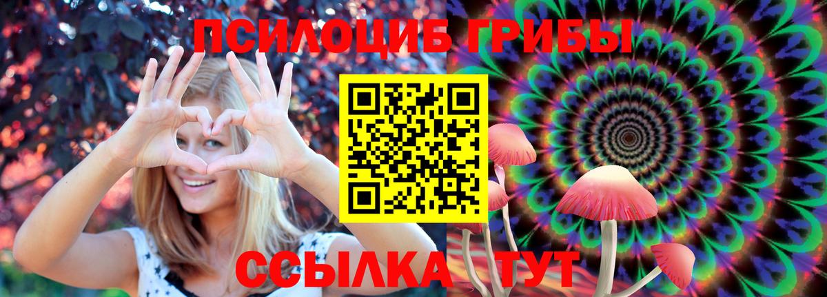 Ревда  Псилоцибиновые грибы Cubensis  Вход с VPN  Галлюциногенные грибы Magic Shrooms 
