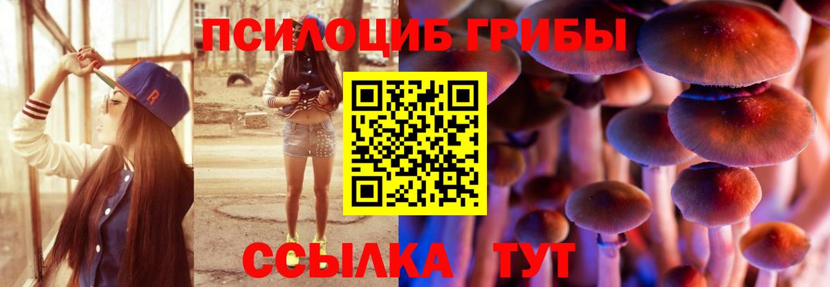 Псилоцибиновые грибы MAGIC MUSHROOMS Ревда